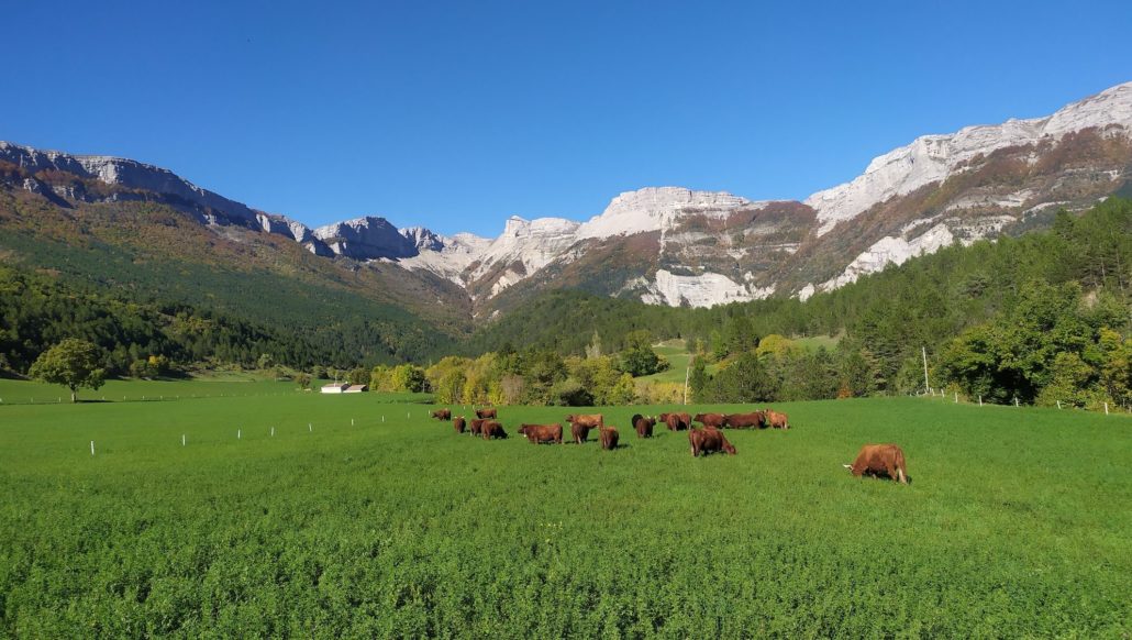 Transition agroécologique en moyenne montagne : la vallée de Quint