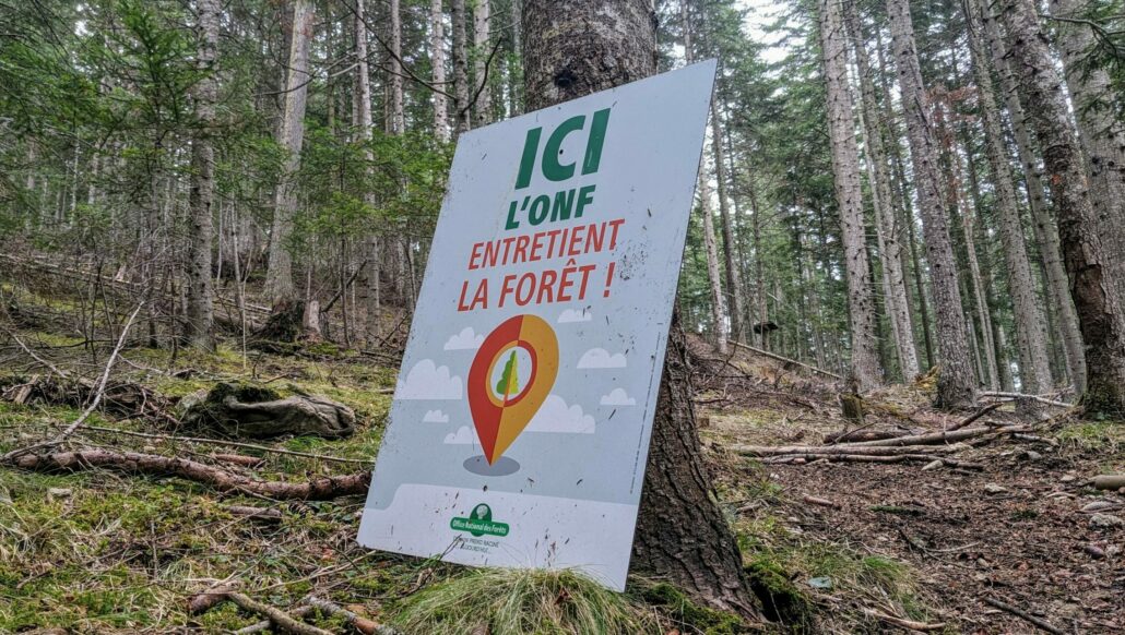 DFCM – Des forêts alpines en crise